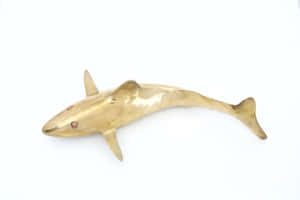 黃銅鯊魚雕塑，紅色玻璃眼睛，白色背景 — Surface Laptop 壁紙