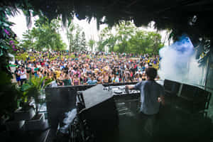 DJ在熱鬧的戶外音樂節表演，伴隨著跳舞的人群和綠植。 — 音樂美學 壁紙