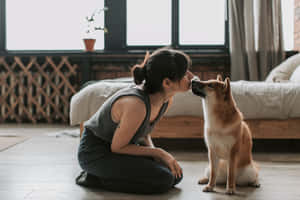 女士跪在地板上親吻床邊的柴犬。 — 浪漫愛情 壁紙