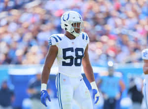 印第安納波利斯小馬隊線衛58號在足球場上比賽中。 — NFL 美式足球 GIF 壁紙