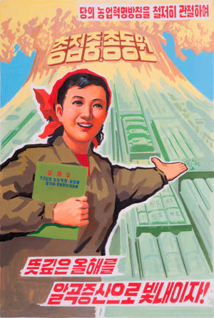 一位戴著紅色頭巾的開朗女性，在帶有韓文文字的山前手持一本綠色書本。 — 火影忍者海報 壁紙