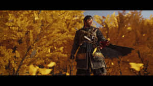 身穿傳統盔甲的武士戰士站在金色秋林中，落葉飄落。 — 對馬戰鬼 GIF 壁紙