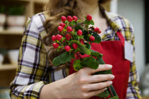 穿著紅色圍裙的人捧著紅色漿果花束 — 唯美花朵動圖 壁紙