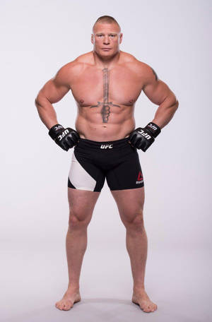 一位赤裸上身的男性戰士穿著UFC短褲和手套，雙手叉腰擺姿勢。 — 搏擊會 GIF 壁紙