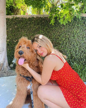 紅裙女性在戶外綠色樹籬旁擁抱金毛犬。 — 狗 壁紙