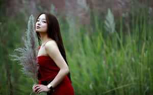 身穿紅色連衣裙的女性在高高的綠色田野中手持蒲葦 — 靚女gif 壁紙