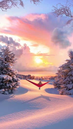 冬日日落時，積雪松樹之間的紅色吊床上的人。 — 冬日美學 壁紙