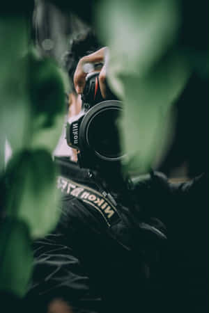 一個人在陰暗環境中，於綠色樹葉後方拿著 Nikon 相機 — 美麗的日落動畫 壁紙