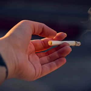 吸煙圖片 — 食草 壁紙