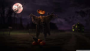 一個發光的南瓜燈稻草人站在滿月下的黑暗田野中，旁邊有一隻黑貓和南瓜。 — 萬聖節恐怖 壁紙