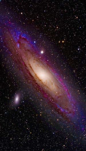 一個螺旋星系，紫色和金色的旋臂在佈滿星星的黑色天空中發光。 — 9:16 壁紙