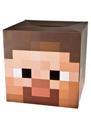 頂部有槽的棕色紙箱，印有像素化的Minecraft Steve面孔。 — iPad Pro M4 壁紙