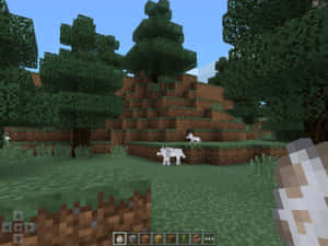 Minecraft遊戲場景，乳牛在藍天下的草地上吃草。