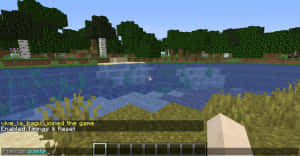 Minecraft第一人稱視角，觀看被樹木和草地環繞的湖泊。 — 最佳 Minecraft 壁紙