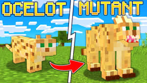 Minecraft豹貓突變為一個更大的貓科生物，帶有尖銳的牙齒。 — 型格 Minecraft 壁紙