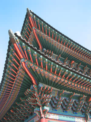 在藍天下，傳統韓國寺廟屋頂充滿活力，帶有精緻多彩的裝飾。 — 韓國 壁紙
