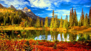 秋季山湖，色彩繽紛的樹葉和晴朗天空的倒影 — 秋天 壁紙