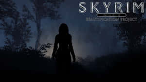 一個人的剪影，站在暮色中霧氣瀰漫的森林裡，帶有 Skyrim 標誌。 — 天際 GIF 壁紙