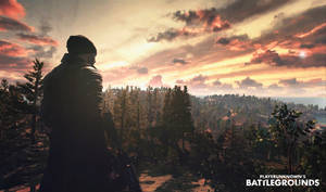 PUBG中士兵剪影在日落時俯瞰森林 — 森林景色 壁紙