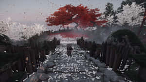 一個人在霧中沿著石徑走過一棵紅樹，白色花瓣飄落。 — 對馬戰鬼 GIF 壁紙