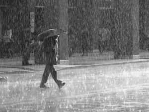 在濕漉漉的城市人行道上撐傘雨中行走的人 — 雨天 壁紙