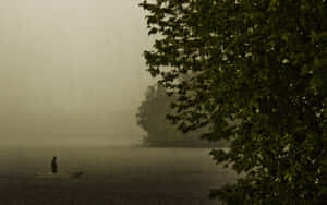 一個人在雨中的湖上划船，霧氣和樹枝映入眼簾。 — 雨天 壁紙