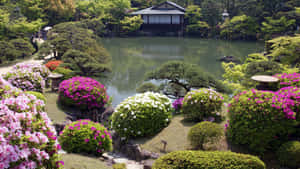 一個傳統的日本花園，有池塘和色彩繽紛的開花灌木。