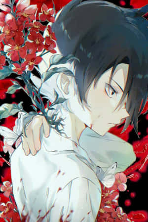 動漫男孩在紅色背景前手持紅花與白色蝴蝶。 — 小米Mix 壁紙