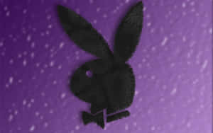 戴著蝴蝶結的黑色毛茸茸兔子剪影，斑點紫色背景。 — Playboy GIF 壁紙