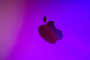 紫色漸變背景上的Apple標誌剪影 — MacBook Air 15 壁紙