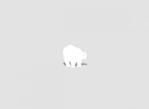 一個白色北極熊剪影站在淺灰色背景上。 — 北極熊 GIF 壁紙