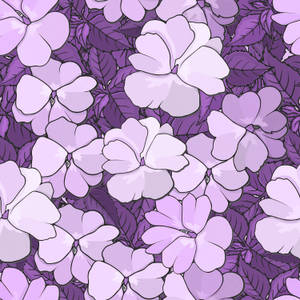 帶有勾勒花瓣和葉子的紫色花卉圖案。 — 紫色花朵 壁紙