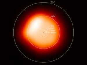 太陽系圖表，顯示內行星和外行星的標記軌道。 — 星星 壁紙