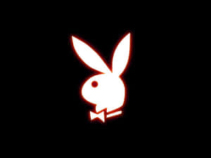 發光白色兔子標誌配蝴蝶結在黑色背景上 — Playboy GIF 壁紙