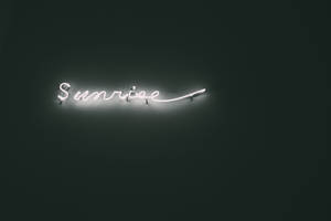 一個白色霓虹燈牌，上面寫着 sunrise，安裝在深綠色牆壁上。 — 霓虹美學 壁紙