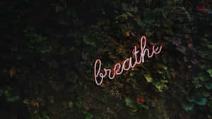 粉紅色霓虹燈牌，上面寫著 breathe，背景是茂密的綠色樹葉牆。 — 天堂 壁紙