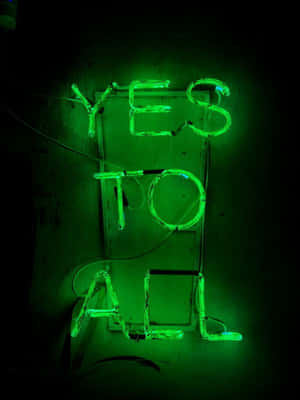 深色牆上寫著「YES TO ALL」的綠色霓虹燈牌。 — Kindle Paperwhite 壁紙