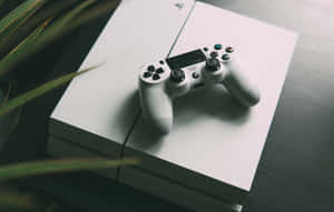 白色PlayStation 4手掣放在主機上，附近有綠色植物葉子。 — MacBook Air M3 壁紙