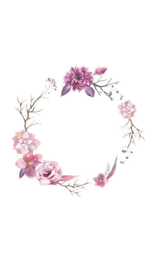 白色背景上的圓形花環，帶有粉紅花朵和光禿樹枝。 — 簡潔 壁紙