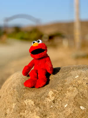 紅色 Elmo 毛公仔在明亮的陽光下坐在戶外的石頭上。 — 2048x2732 壁紙