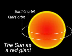 圖表顯示太陽為紅色巨星，並標有地球和火星的軌道。 — 星星 壁紙