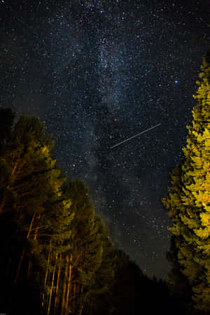 一顆流星劃過松樹林上方的繁星點點夜空。 — Vivo Pad 壁紙