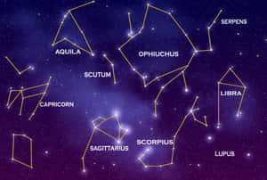 在繁星點點的夜空中，以金色線條連接星星並標示星座。 — 月色夜空 壁紙