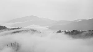 霧氣瀰漫的山谷，森林覆蓋的山丘和霧氣在山谷中翻滾。 — 森林 壁紙