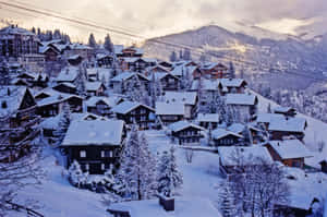 暮色天空下，雪白的阿爾卑斯山村，有木屋和松樹 — 冬日美學 壁紙