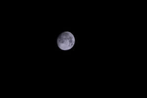 彎月在黑暗的夜空中閃耀。 — 唯美月亮動圖 壁紙