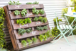 木托盤香草園，帶有標籤植物和薄荷綠的庭院家具。 — Surface Pro 壁紙