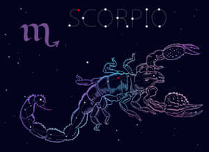 以發光線條和星星在黑暗夜空中描繪的天蠍座星座插圖。 — 月色夜空 壁紙