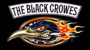 帶有火焰和樂隊名稱 The Black Crowes 的黑色烏鴉標誌。 — OLED 壁紙