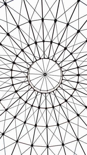 白色背景上具有徑向對稱性的幾何黑色格子圓頂 — 黑白藝術 壁紙